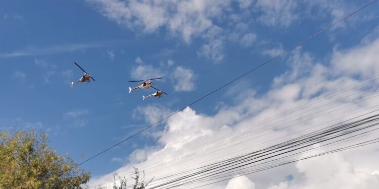 Saldo blanco por festejos patrios