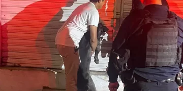 Cinco perros pitbull matan a ratero en marmolería; policías acribillan a dos