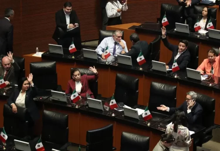 Senado aprueba 13 nombramientos del Consejo de Búsqueda de Personas