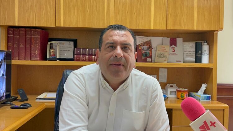 Ataca enjambre a 15 estudiantes de una escuela rural en Victoria