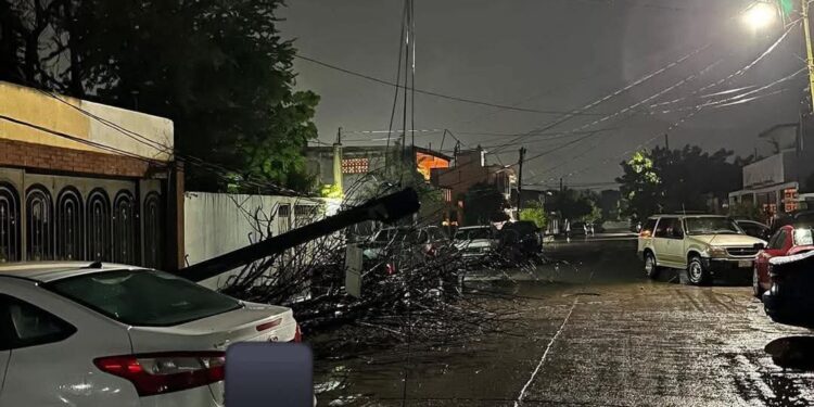 Semáforos fuera de servicio, rámas y postes caídos, saldo del ventarrón