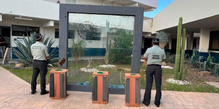 Aseguran avestruces en aeropuerto de Reynosa