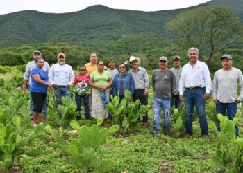 Impulsan buenas prácticas agrícolas en Gómez Farías, Llera y Xicoténcatl