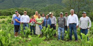 Impulsan buenas prácticas agrícolas en Gómez Farías, Llera y Xicoténcatl