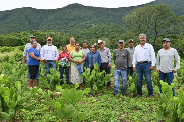 Impulsan buenas prácticas agrícolas en Gómez Farías, Llera y Xicoténcatl