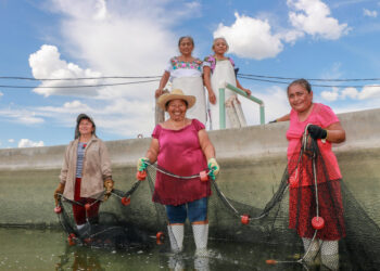 Capacita Conapesca a 595 mujeres rurales en técnicas de cultivo de tilapia, bagre, trucha y ostión