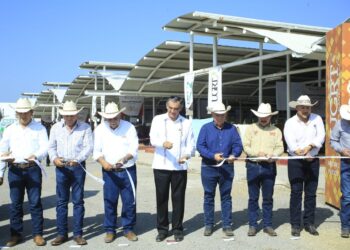 Inaugura el gobernador Américo Villarreal exposición y subasta ganadera en la Feria Tamaulipas 2025