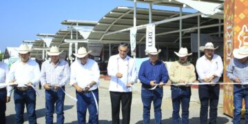 Inaugura el gobernador Américo Villarreal exposición y subasta ganadera en la Feria Tamaulipas 2025