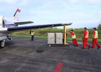 Estiman erradicar plaga del gusano barrenador del ganado de México en 5 años