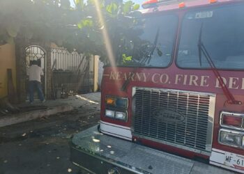 Capturan víbora en casa del fraccionamiento Viento Huasteco