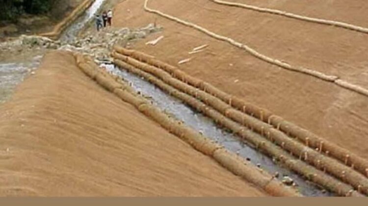 Clausuran siete pedreras en Nuevo León por sobrexplotación y contaminación