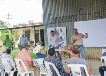 Refuerza Tamaulipas prevención de gusano barrenador en límites con Veracruz y San Luis Potosí