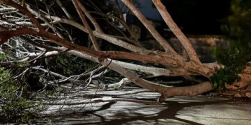 Semáforos fuera de servicio, rámas y postes caídos, saldo del ventarrón