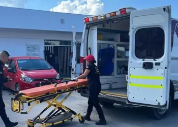 Un muerto y siete heridos en Abasolo y El Mante, Tamaulipas por ataques de abejas africanas 