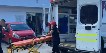 Un muerto y siete heridos en Abasolo y El Mante, Tamaulipas por ataques de abejas africanas 