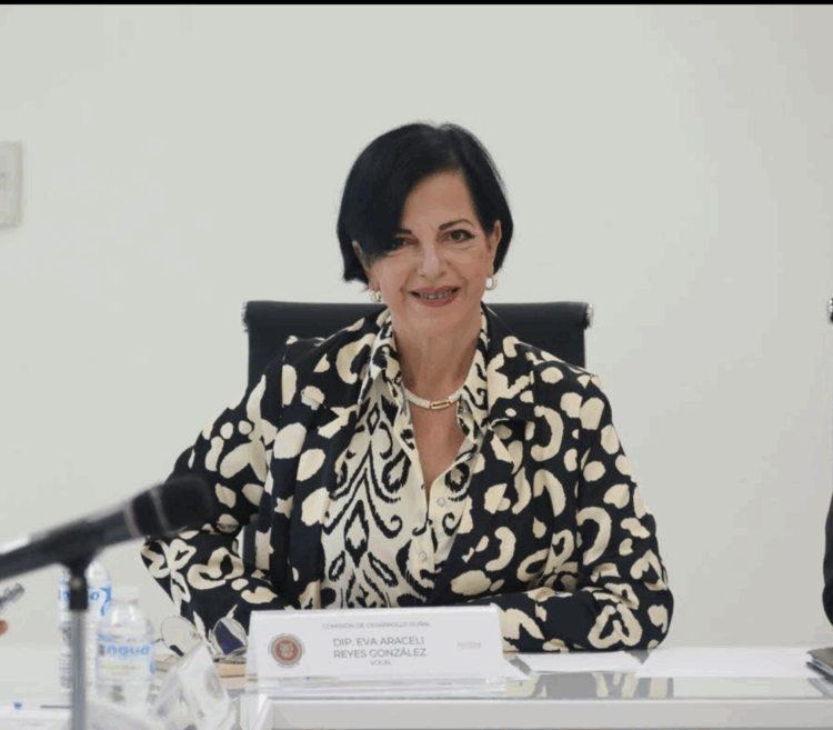 Piden al Fiscal de Tamaulipas investigar redes de explotación infantil evidentes en los cruceros