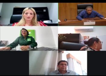 Dirigente del Partido Verde culpable por violencia política de género