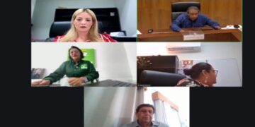 Dirigente del Partido Verde culpable por violencia política de género