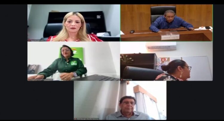 Dirigente del Partido Verde culpable por violencia política de género