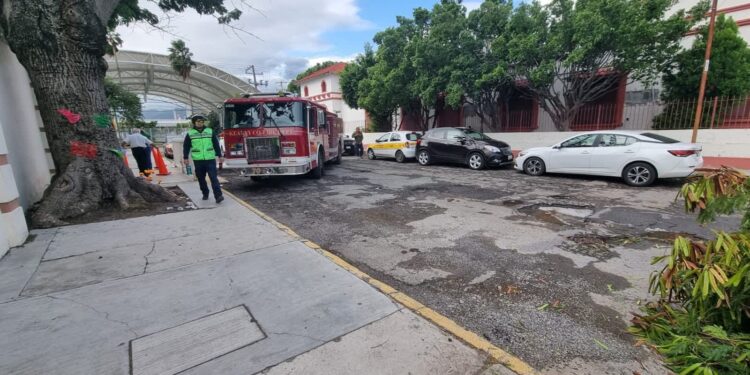 Retira PC árboles caídos por el viento