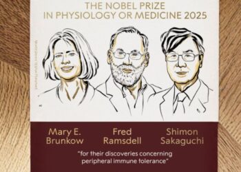 Nobel de Medicina 2025: tres científicos revelan secretos del sistema inmune