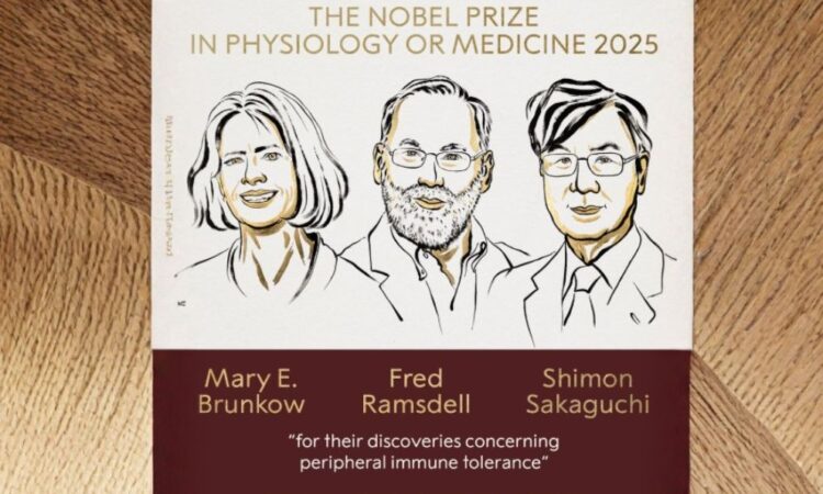 Nobel de Medicina 2025: tres científicos revelan secretos del sistema inmune