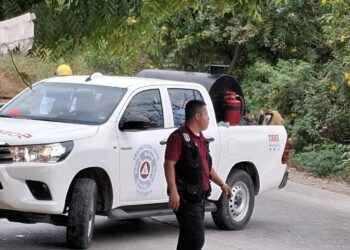 Enjambre ataca a seis personas