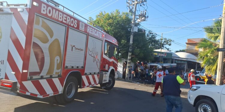 Cortar árbol por poco le cuesta la vida