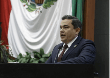 Castigarán con cárcel robo de colmenas en apiarios de Tamaulipas