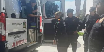 Muere mujer por mordedura de araña en Montemorelos, Nuevo León