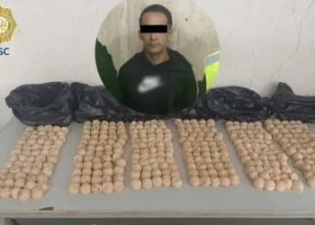 Detienen en la CDMX a sujeto que viajaba en Metro con cientos de huevos de tortuga