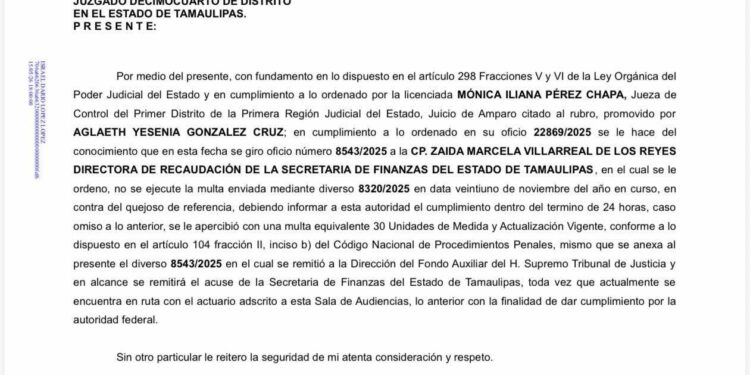Juez federal cancela multa impuesta por “juzgadora del bienestar”