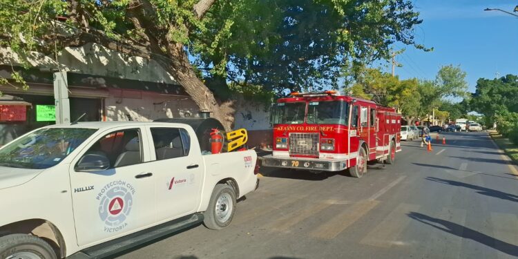 Cortar árbol por poco le cuesta la vida