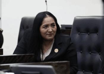 Plantean instalación en parques de unidades de lectura por las bibliotecas públicas