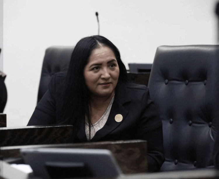 Plantean instalación en parques de unidades de lectura por las bibliotecas públicas