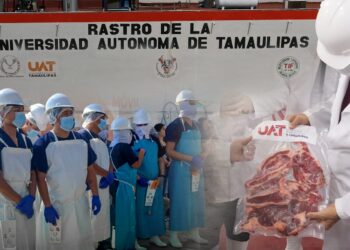 Rastro TIF de la UAT producirá carne para el mercado nacional e internacional