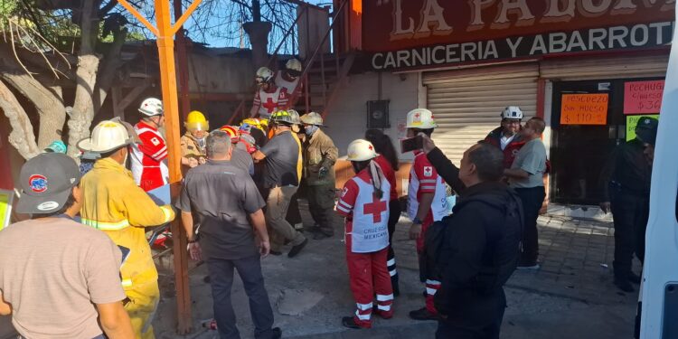 Cortar árbol por poco le cuesta la vida