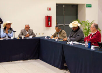 SADER cierra acuerdos directos con productores de trigo panificable de 6 estados entre ellos Tamaulipas