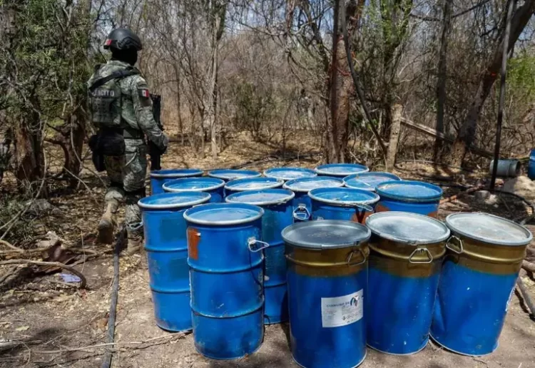 Golpe millonario al narco en Sinaloa; Ejército y GN aseguran sustancias valuadas 2 mil millones