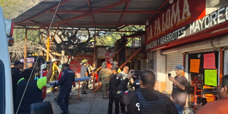 Cortar árbol por poco le cuesta la vida