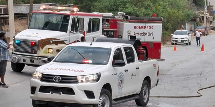 Enjambre ataca a seis personas