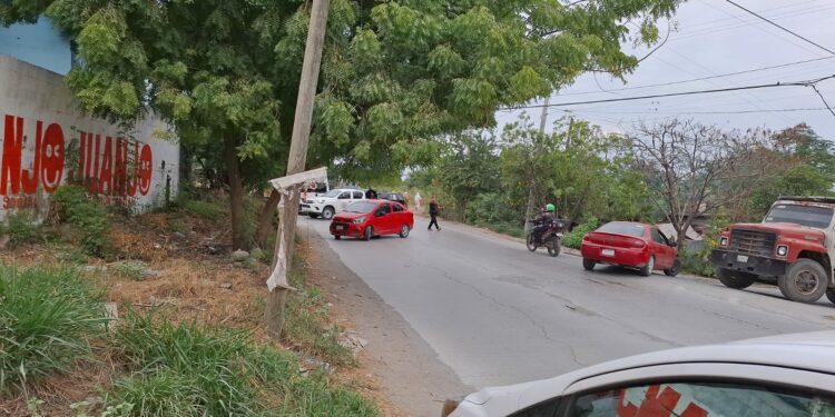 Enjambre ataca a seis personas