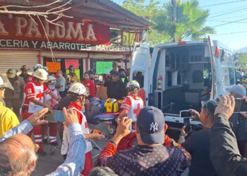 Cortar árbol por poco le cuesta la vida