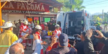 Cortar árbol por poco le cuesta la vida