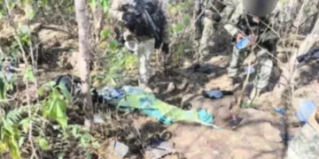 Ejército desmantela campamentos delictivos en Badiraguato, Sinaloa