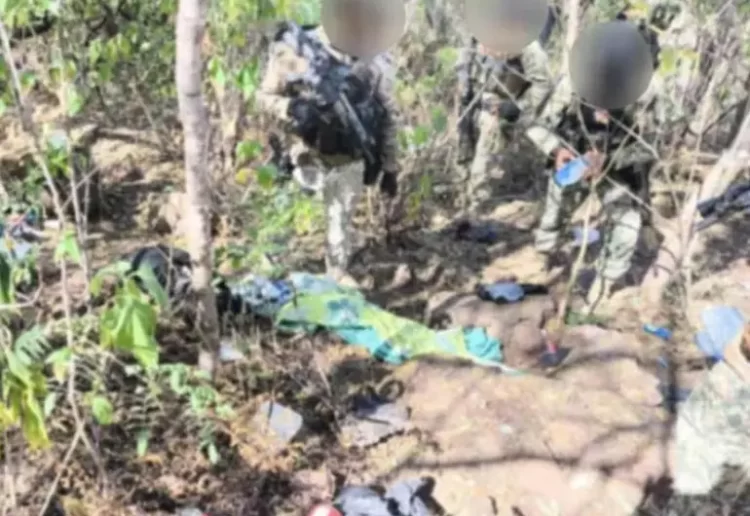 Ejército desmantela campamentos delictivos en Badiraguato, Sinaloa