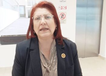 Diputada Huerta aclara la actuación legal de los agentes aduanales en Tamaulipas