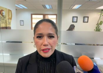 Frenarán irregularidades en el IETAM