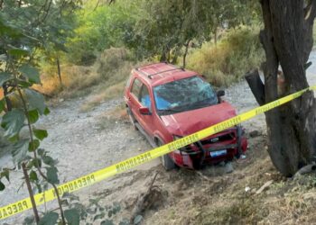 Muere conductor al estrellarse contra árbol
