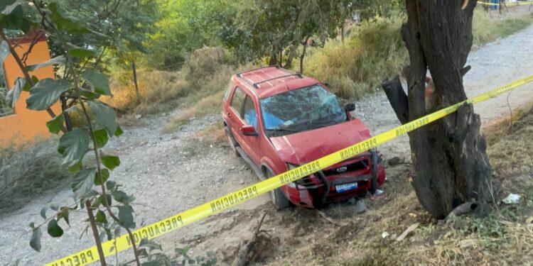 Muere conductor al estrellarse contra árbol
